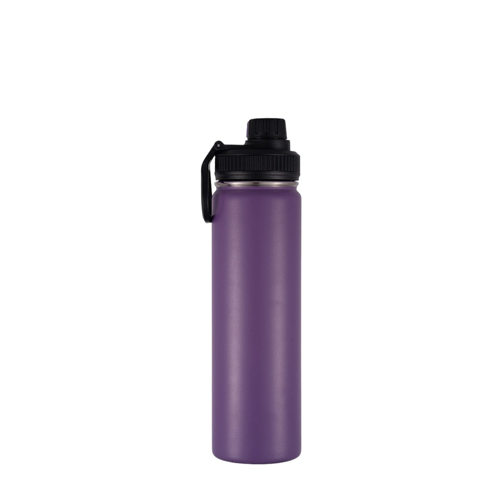 Wholesale Custom Logo 22oz Stainless Steel Sports Bottle - purple